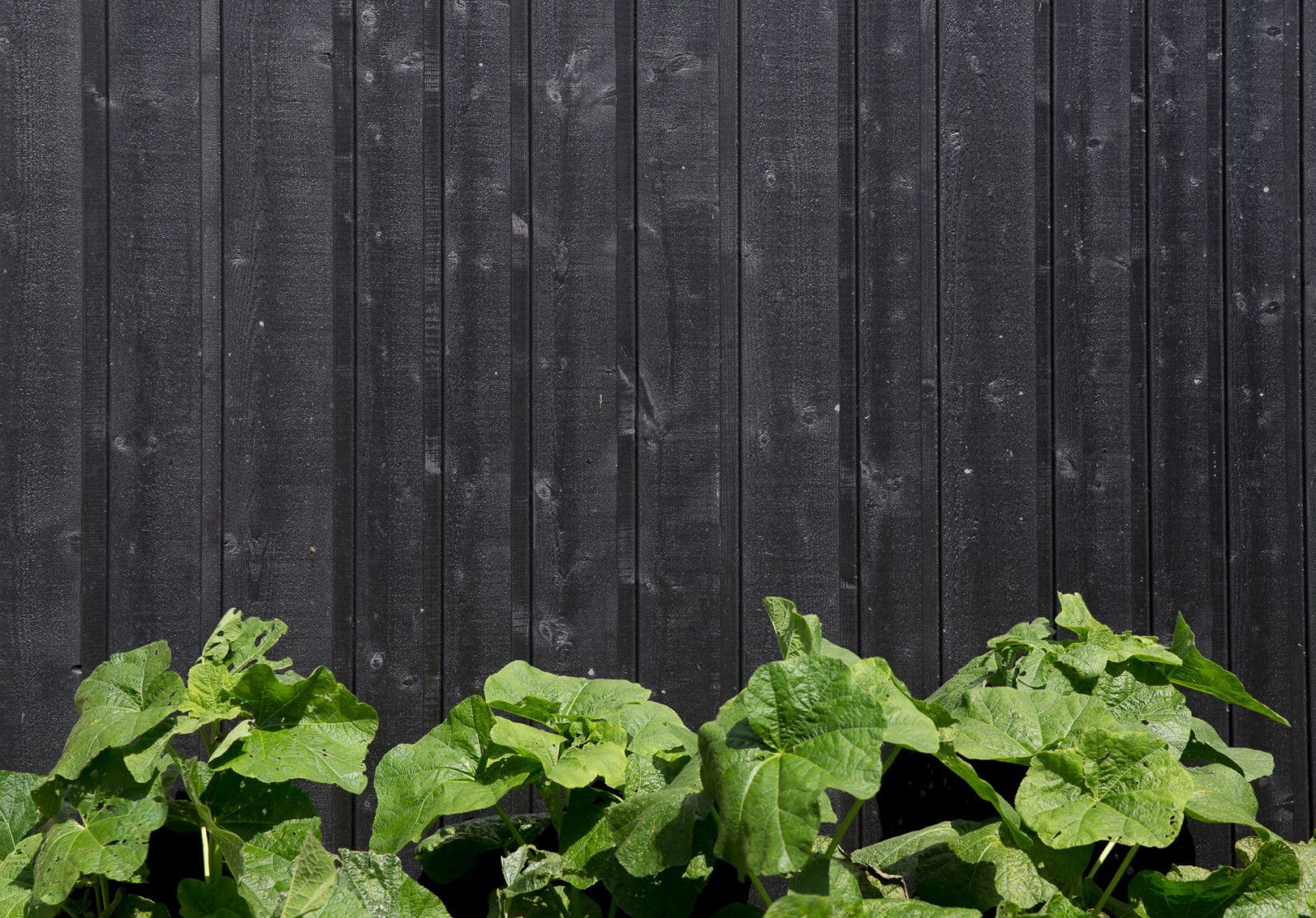 VäriWood channelsiding VäriWood channelsiding