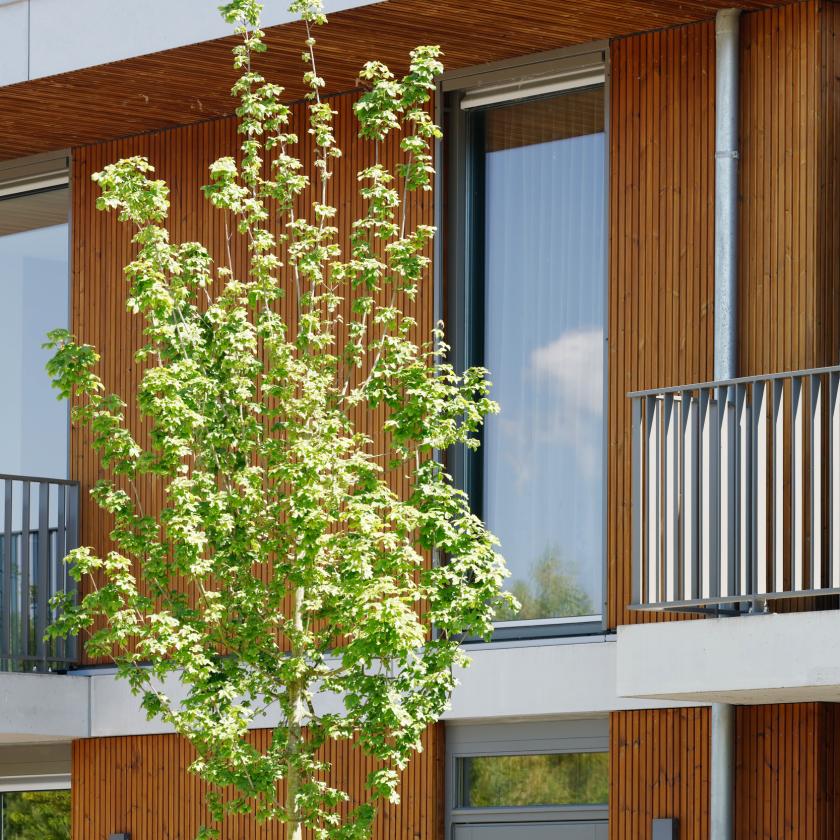 Hospice Middelharnis Bars3 Natural
