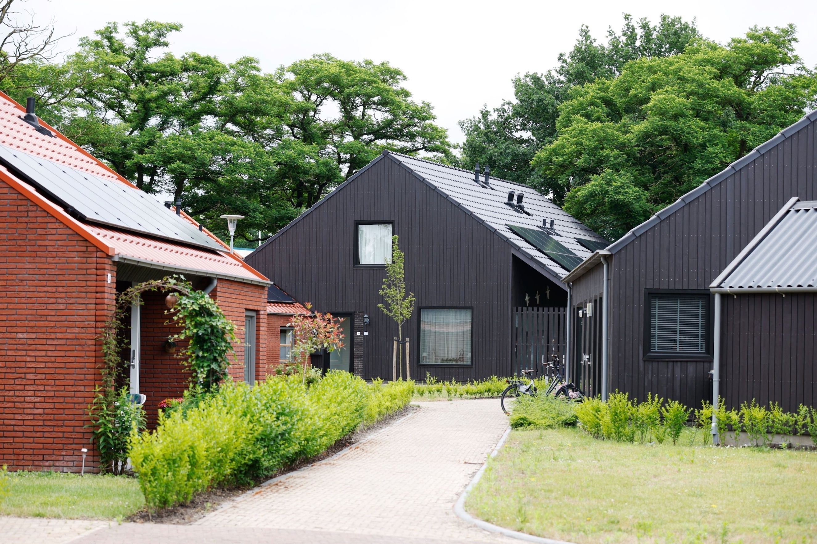 Brinkwonen in Schoonoord - DumoWood